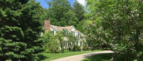 Driveway to Main House and Carriage House