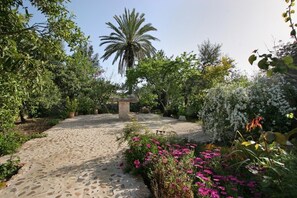 Villa Butxaco, Pollensa (6)