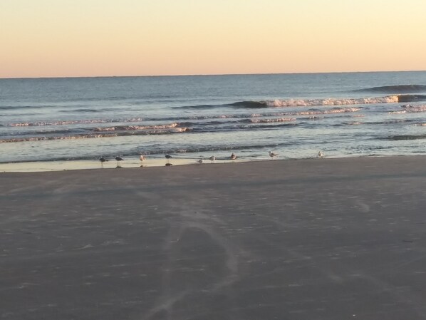 Playa
