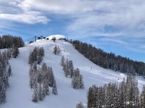 Sneeuw- en skisporten