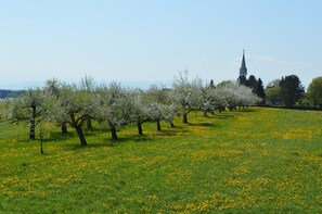 Boendeområde