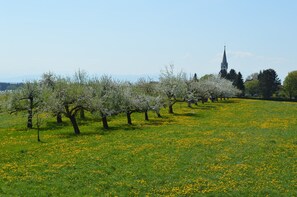 Terrain de l’hébergement 