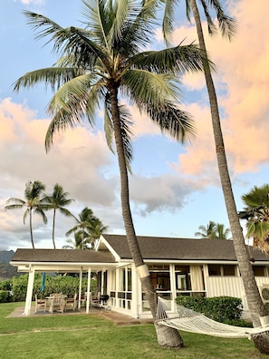 relax in the hammock as you watch the palm tree sway