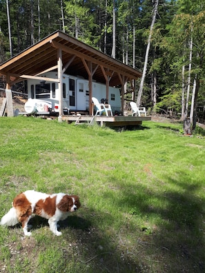 Travel trailer and Cedar deck.