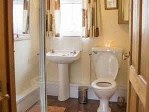 Downstairs Bathroom and Shower