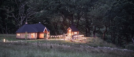 Woodcock at night