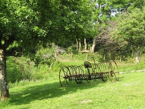 Orchard from Cider cottage