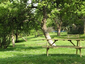 Cider orchard