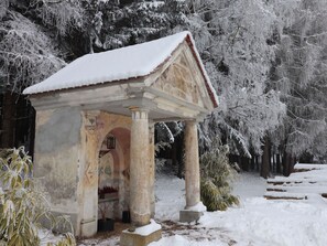 Schnee, Pflanze, Ast, Zweig, Holz, Baum, Biome, Haus, Einfrieren, Gebäude