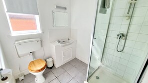 Flat 4 Shower and Toilet
