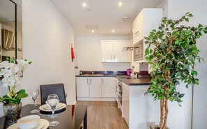 King Deluxe Studio Apartment 