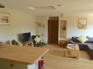 Open plan living area, Large TV DVD