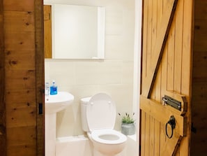 Through the Looking Glass Ensuite
