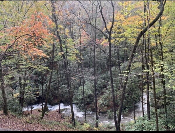 Terrain de l’hébergement 