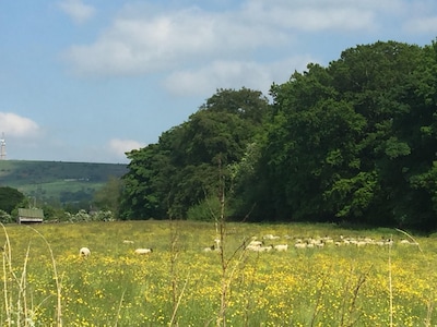 Oak Lodge @ Shellow Lane Lodges