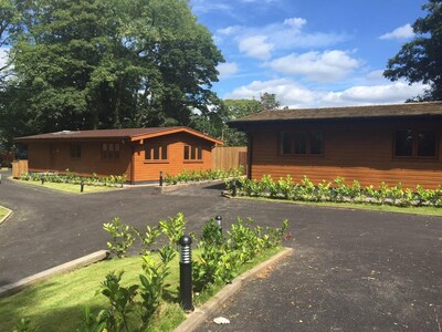 Maple Lodge @ Shellow Lane Lodges