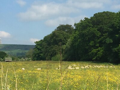 Maple Lodge @ Shellow Lane Lodges