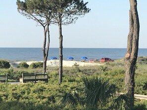 View from Patio