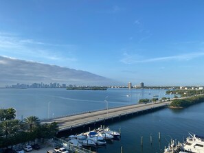 Miami Skyline - View from the Balcony
