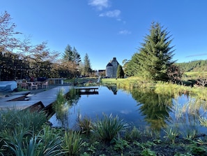 Pool (Outdoor)