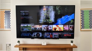 55" Smart TV with Netflix