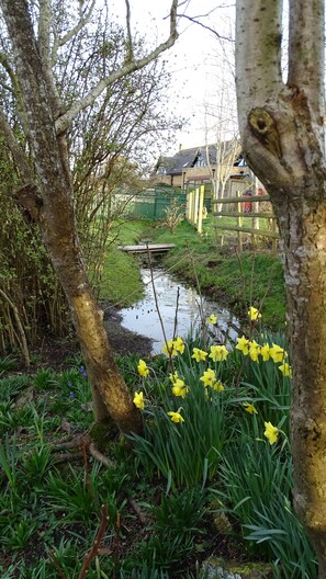 Guests' garden in springtime