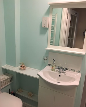Shower room with shaving point