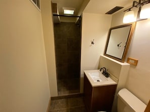 Lower level newly remodeled bathroom 