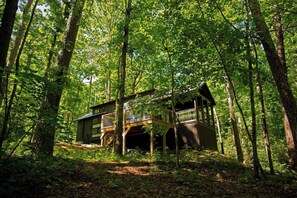The East Fork Cottage is nestled in the woods next to the East Fork of the Little River. Easy access to the water where you can float, swim, or kayak out. There is also a walking trail on site along the water. 