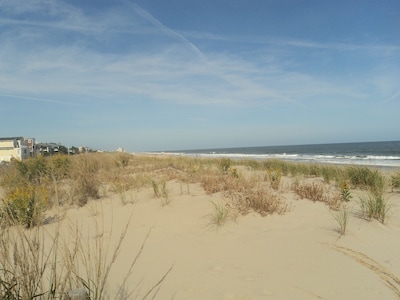 Dog-friendly Cottage - 125 steps to the best beach on the East Coast! 