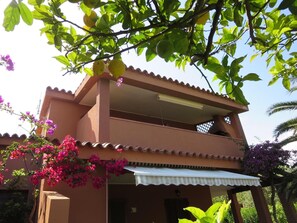 External view of the building