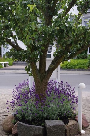 Boendeområde