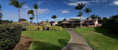 Lush tropical landscaping throughout the property.