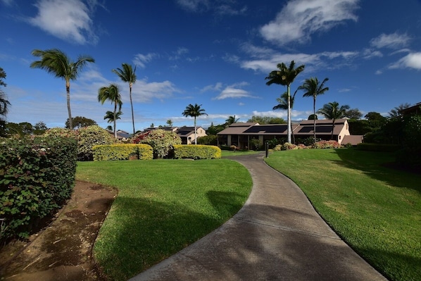 Lush tropical landscaping throughout the property.