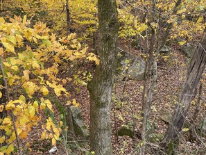 Boendeområde