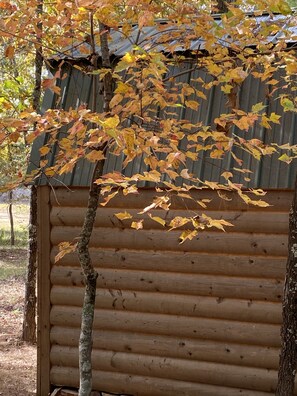 Oklassificerad bild, 3 av 12, knapp