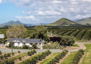 The Orchard House (1)