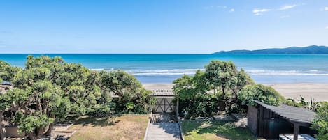 Front Yard from Deck