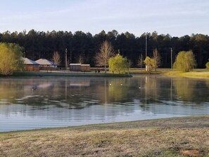 Overlooks a beautiful pond and large backyard! 