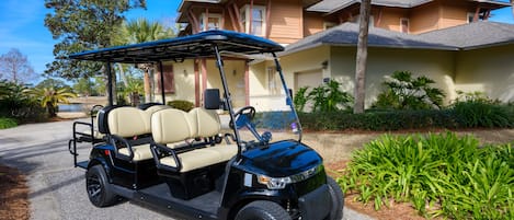 6 Seat Golf Cart