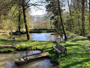 Waldhaus am Teich