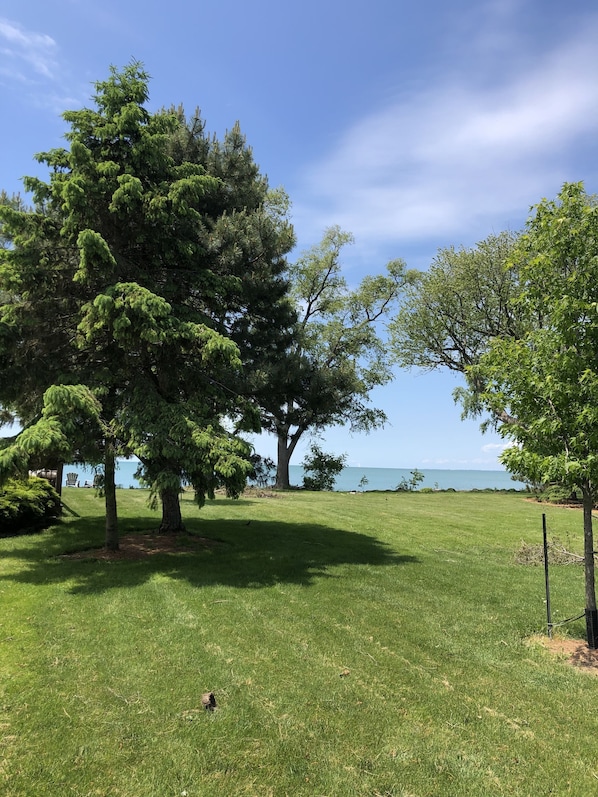 View of the yard and lake