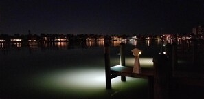 Incredible Night Fishing With Dock Lights