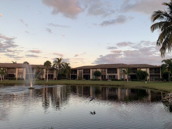 View from the pool area