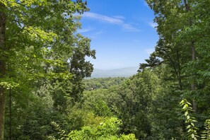 Spring/Summer view