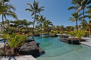 Mauna Lani Golf Villas Pool Surrounded by Palm Trees