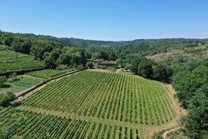 Terrain de l’hébergement 