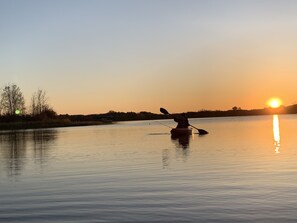 Järvi