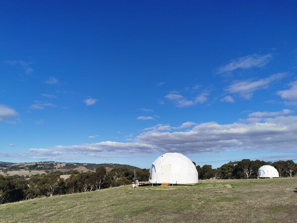 Domes in Autumn