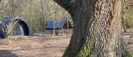 Overnatningsstedets område